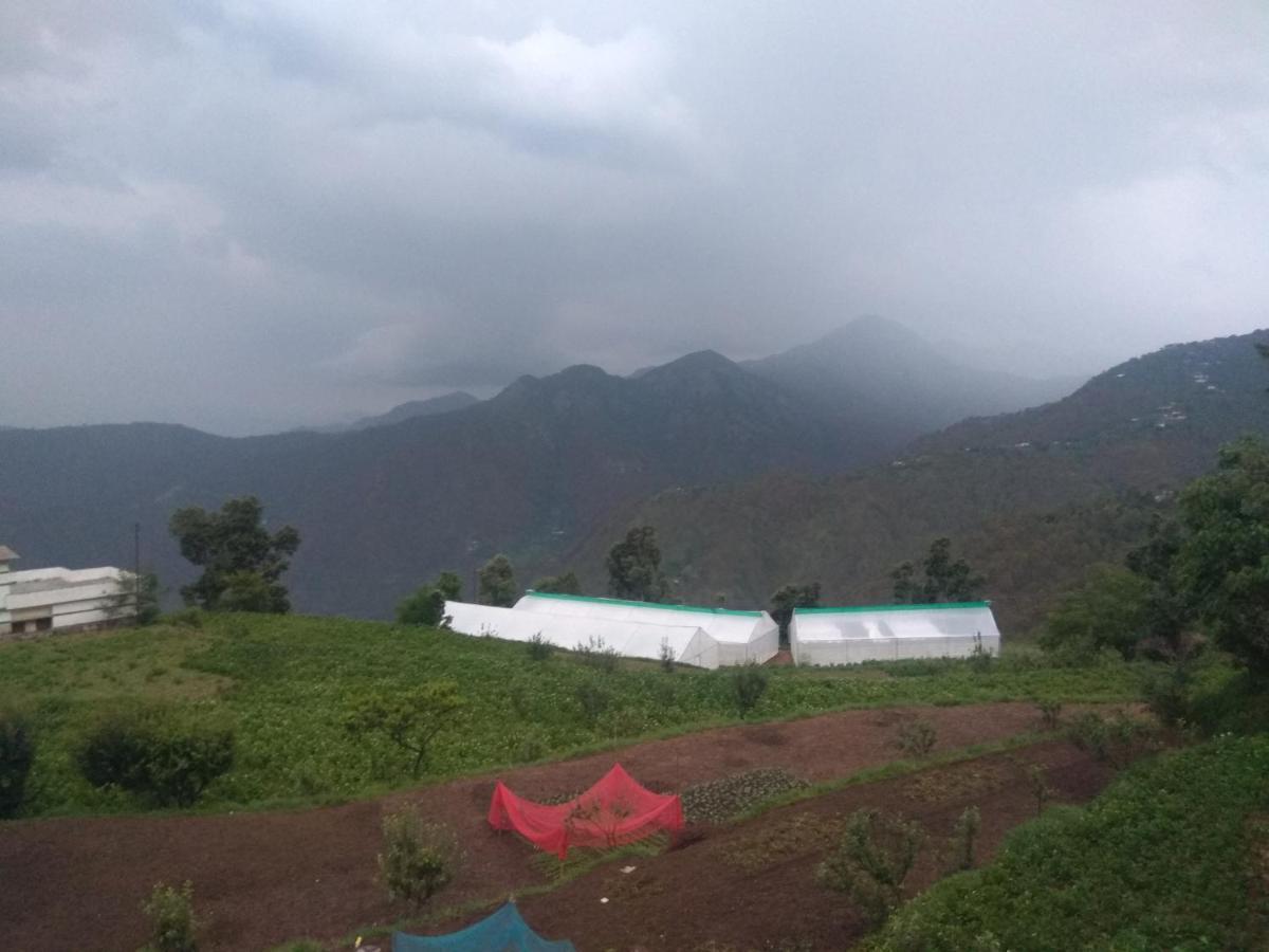 Green view resort New Tehri Buitenkant foto