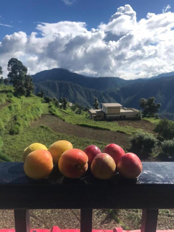 Green view resort New Tehri Buitenkant foto